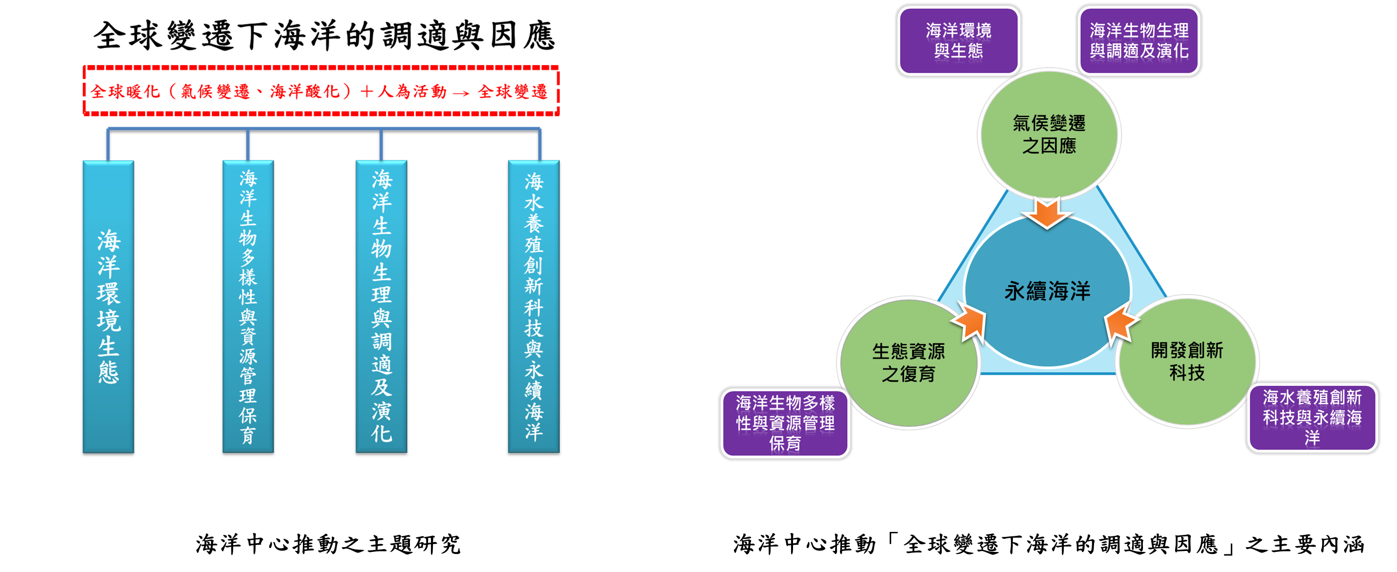 致力於「全球變遷下海洋的調適與因應」之發展，以便持續整合國內外海洋人才培育與研究能量，協助國家發展永續海洋，研究主題有：「海洋環境與生態」、「海洋生物多樣性與資源管理保育」、「海洋生物生理與調適及演化」、「海水養殖創新科技與永續海洋」